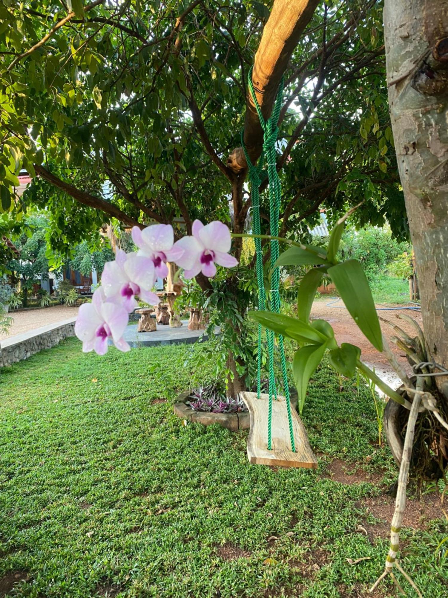 Hotel Hanguk Villa Dambulla Exterior photo